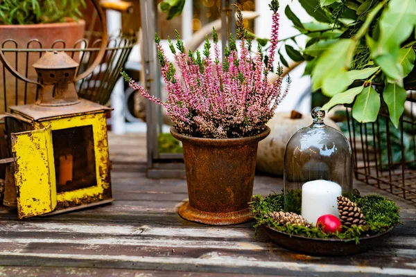 Vela sob tampa de vidro no suporte na mesa de madeira e flor no pote. — Fotografia de Stock