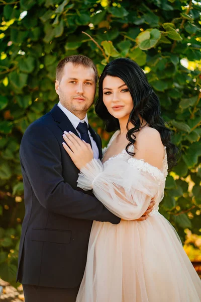 Bride and groom stand by a bush with green foliage in the park. — Stock Photo, Image