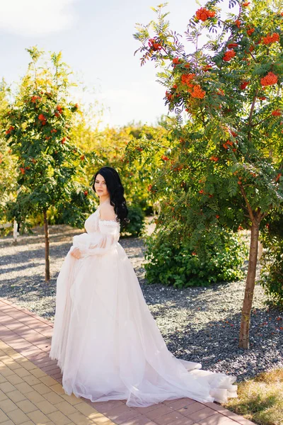 Beautiful brunette bride in a wedding dress in a park with rowan trees. — Stock Photo, Image