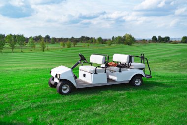 Golf sahasında elektrikli araba. Çevre dostu ulaşım.