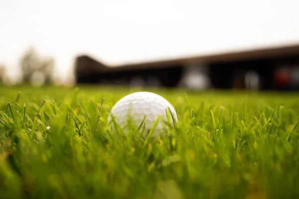 Piłka golfowa na zielonej trawie. country club dla golfistów. — Zdjęcie stockowe