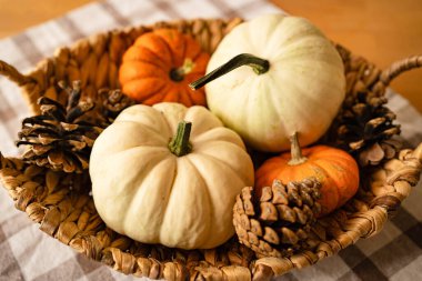 Küçük dekoratif beyaz ve turuncu balkabakları ve konileri olan sepet..