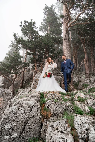 Quelques jeunes mariés sur un rocher dans une forêt de montagne. lune de miel. — Photo