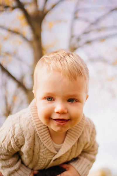 En liten pojke i en beige stickad jacka i pappas armar mot himmel och grenar — Stockfoto