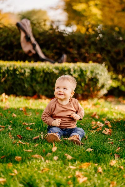Un niño rubio lindo en un suéter marrón en un césped verde con hojas de otoño. —  Fotos de Stock