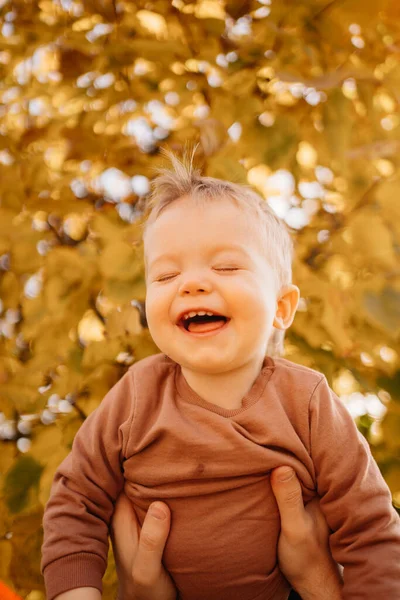 Un niño lindo en un suéter marrón en los brazos de los papás contra el follaje de otoño —  Fotos de Stock