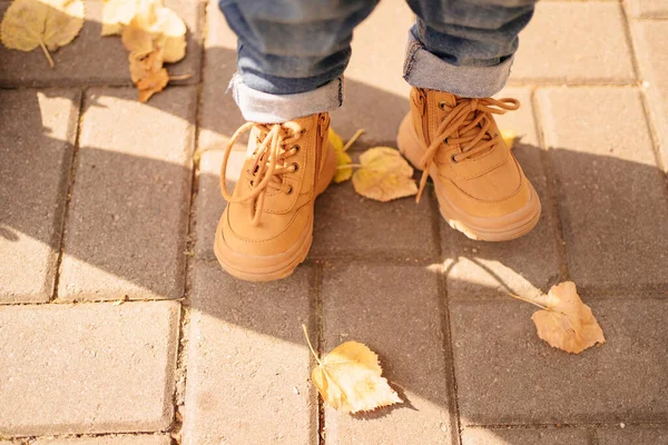 Kinderen benen in bruine schoenen op het pad met herfstbladeren. — Stockfoto