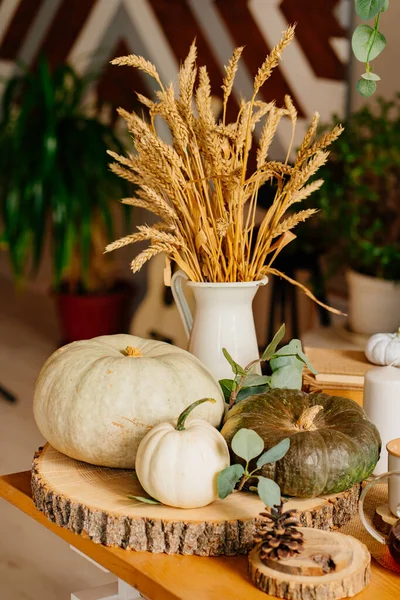 Dýně a váza z pšeničných uší v kuchyňské výzdobě. — Stock fotografie