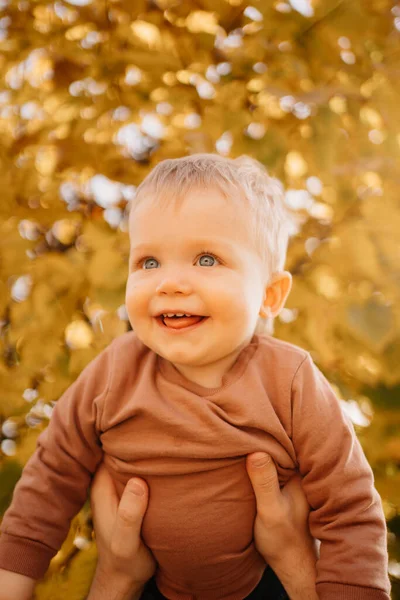 Un niño lindo en un suéter marrón en los brazos de los papás contra el follaje de otoño —  Fotos de Stock