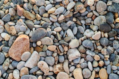 gri çakıl taşları. Çakıl taşı plajı. Peyzaj tasarımı için taşlar. arkaplan.