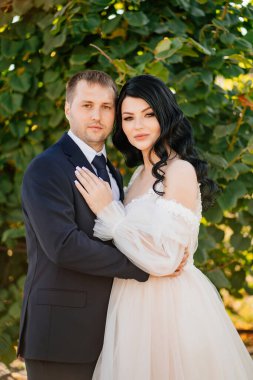 Gelin ve damat parkta yeşil yapraklı bir çalılığın yanında dururlar.. 