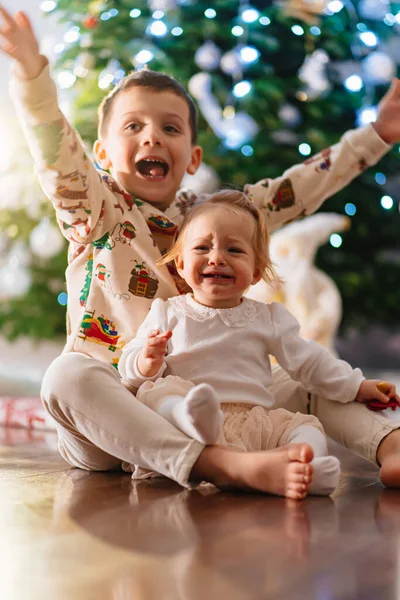 Engraçados crianças irmão e irmã na árvore de Natal. férias para crianças. — Fotografia de Stock