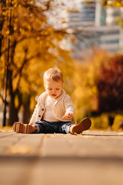 Un niño rubio lindo en una chaqueta beige en el camino con hojas de otoño. —  Fotos de Stock