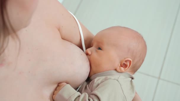 Karmienie piersią. Matka karmi dziecko mlekiem matki. dziecko zasypia. — Wideo stockowe