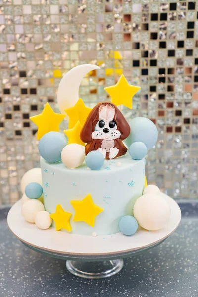 공 과 별 과 강아지로 장식된 파란 케이크와 마 스틱 과 초콜릿으로 만든 강아지. — 스톡 사진