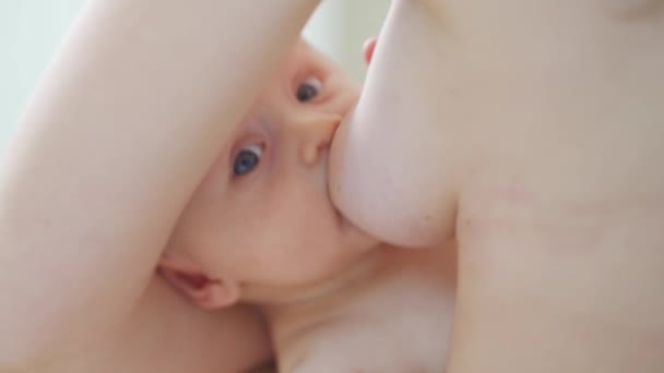 子供のクローズアップ。母親は赤ん坊に母乳を与えます。母乳育児. — ストック動画