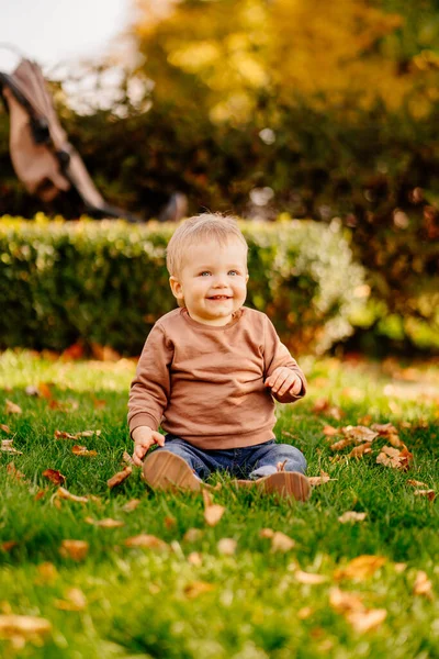 Un niño rubio lindo en un suéter marrón en un césped verde con hojas de otoño. —  Fotos de Stock