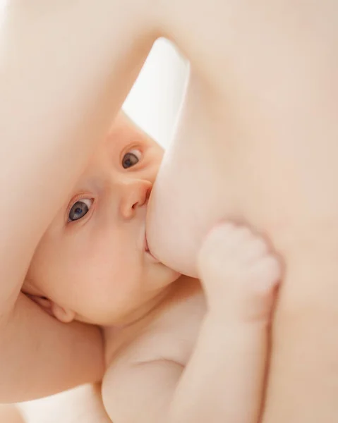 Grabben närbild. en mamma matar barnet med bröstmjölk. amningen. — Stockfoto