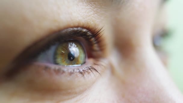 Крупним планом. Жіноче зелене око на огляді лікарів. офтальмологія . — стокове відео