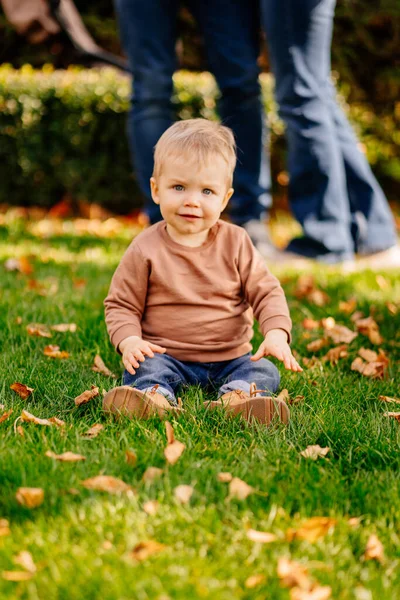 Un niño rubio lindo en un suéter marrón en un césped verde con hojas de otoño. —  Fotos de Stock