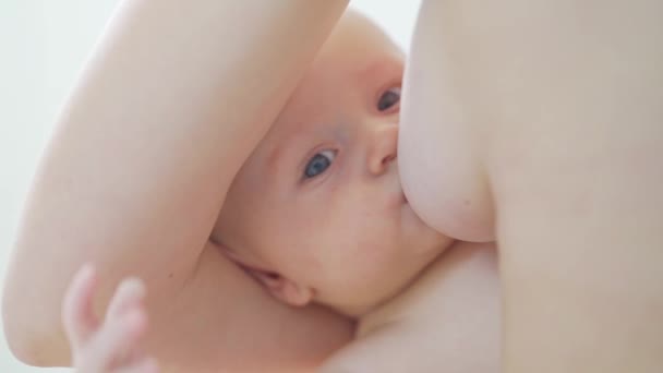 Primer plano del niño. una madre alimenta al bebé con leche materna. la lactancia materna. — Vídeos de Stock