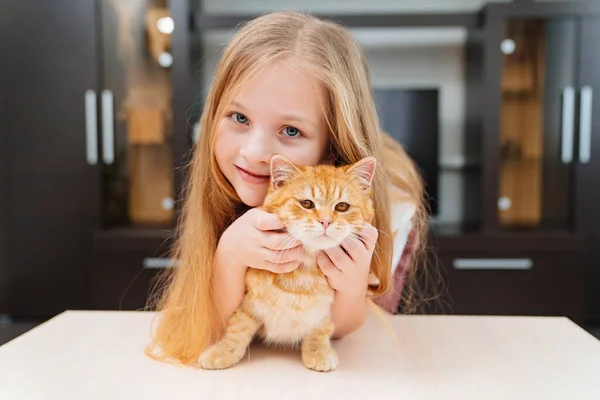 Krásná holčička blondýny tahy a objetí červená kočka. — Stock fotografie