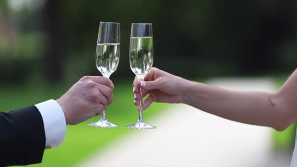 Man en vrouw met glazen van champagne — Stockvideo