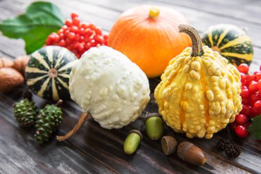 Kırsal arkaplanda çok renkli balkabaklarıyla sonbahar bileşimi