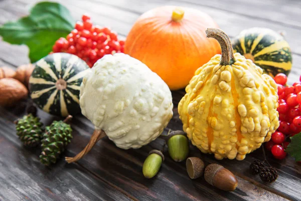 Kırsal arkaplanda çok renkli balkabaklarıyla sonbahar bileşimi