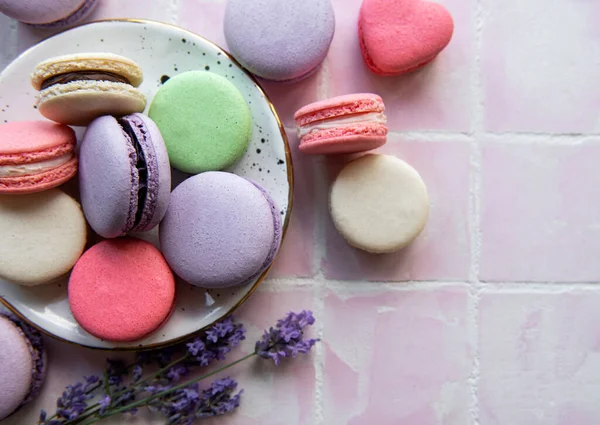 Französische Macarons Mit Verschiedenen Geschmacksrichtungen Und Frischen Lavendelblüten — Stockfoto