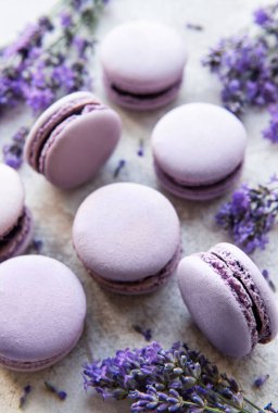 macarons lavanta lezzet ve taze lavanta çiçekleri ile Fransız 
