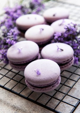 macarons lavanta lezzet ve taze lavanta çiçekleri ile Fransız 
