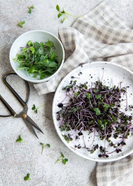 Ahşap masada mikro yeşillik çeşitleri. Sağlıklı yaşam tarzı