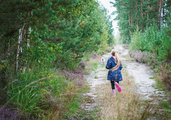 Urocze Dziewczynki Piesze Wędrówki Lesie — Zdjęcie stockowe