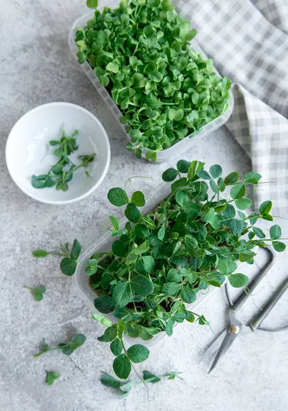 Assortment Micro Greens Wooden Table Healthy Lifestyle — Stock Photo, Image