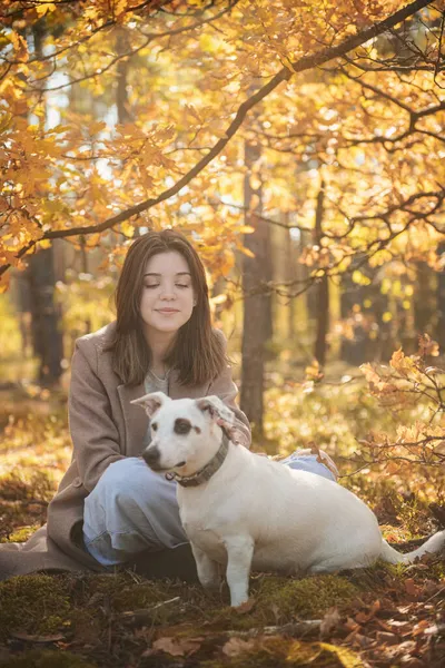 Kaunis Nuori Tyttö Koiransa Kanssa Metsässä Syksyinen Metsä — kuvapankkivalokuva