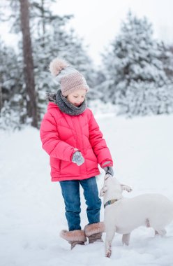 Parlak ceketli küçük kız kışın karlı ormanda köpeği Jack Russell Terrier ile oynuyor.