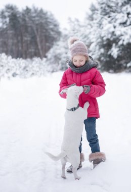 Parlak ceketli küçük kız kışın karlı ormanda köpeği Jack Russell Terrier ile oynuyor.