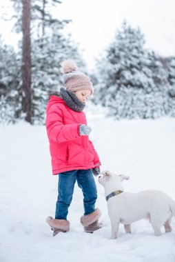 Parlak ceketli küçük kız kışın karlı ormanda köpeği Jack Russell Terrier ile oynuyor.