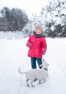 Parlak ceketli küçük kız kışın karlı ormanda köpeği Jack Russell Terrier ile oynuyor.