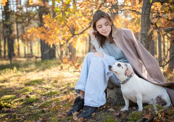 Kaunis Nuori Tyttö Koiransa Kanssa Metsässä Syksyinen Metsä — kuvapankkivalokuva