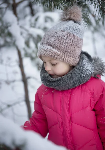 Kışın çocuk. Kışın dışarıda oynayan küçük bir kız. Güzel bir kış çocuk portresi. Mutlu çocuk, kış eğlencesi dışarıda.