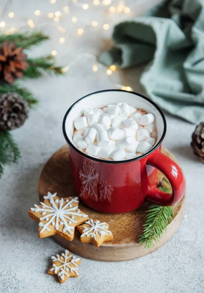 Cadre Confortable Hiver Noël Avec Cacao Chaud Des Biscuits Faits — Photo