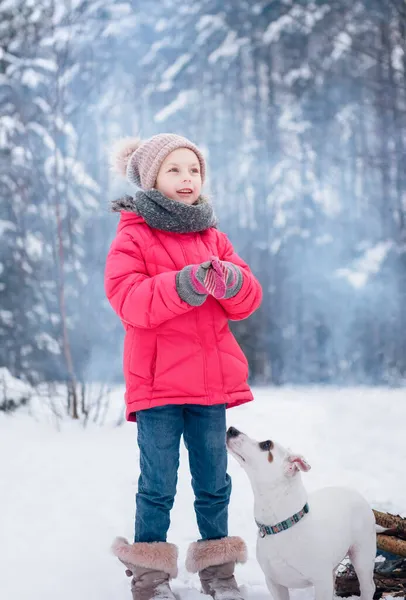 Little Girl Bright Jacket Plays Winter Snowy Forest Her Dog Stock Picture