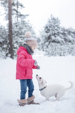 Parlak ceketli küçük kız kışın karlı ormanda köpeği Jack Russell Terrier ile oynuyor.