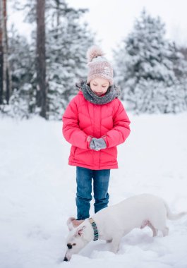 Parlak ceketli küçük kız kışın karlı ormanda köpeği Jack Russell Terrier ile oynuyor.