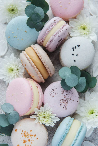 Hermosos Macarrones Sabrosos Coloridos Flores Blancas Eucalipto Sobre Fondo Gris —  Fotos de Stock