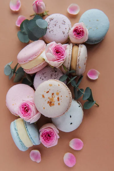 Tasty macaroons with beautiful roses — Stock Photo, Image