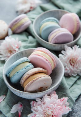 Beton bir arka planda güzel rengarenk kurabiyeler.