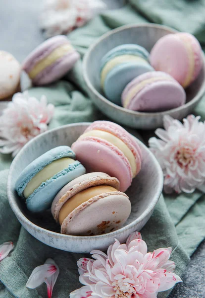 Beaux macarons savoureux colorés sur un fond de béton — Photo